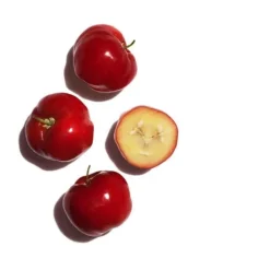 Clarins Moisturizers<Bright Plus Dark Spot-Targeting Moisturizing Emulsion