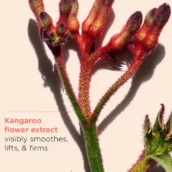 Clarins Moisturizers<Extra-Firming + Anti Aging Night Cream