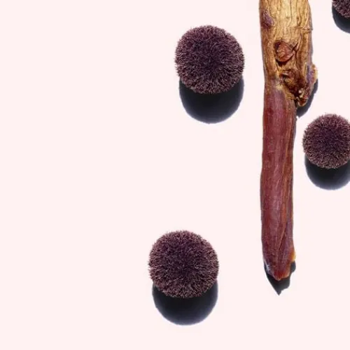 Clarins Cleansers & Toners<Extra-Firming Firming Treatment Essence - Le Petit Prince Collection