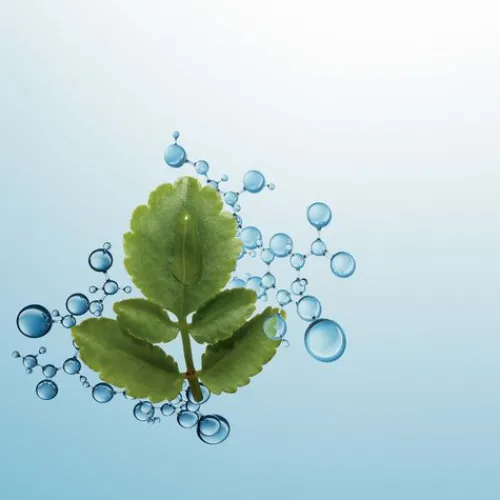 Clarins Moisturizers<Hydra-Essentiel Light Moisturizer With Double Hyaluronic Acid