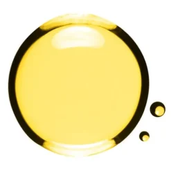 Clarins Hair Care<Nourishing Beauty Hair Oil With Argan And Camellia Oils