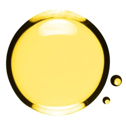 Clarins Hair Care<Nourishing Beauty Hair Oil With Argan And Camellia Oils