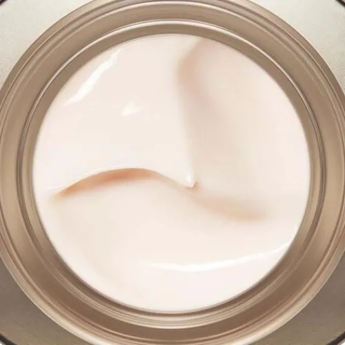 Clarins Moisturizers<Nutri-Lumiere Anti Aging Day Cream For Mature Skin