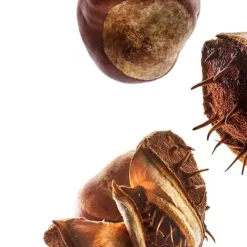 Clarins Moisturizers<Nutri-Lumiere Anti Aging Night Cream