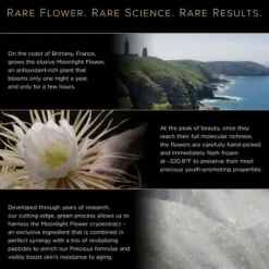 Clarins Clarins Precious<Precious La Creme Yeux Age-Defying Eye Cream