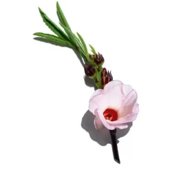 Clarins Moisturizers<Rose Radiance Cream Super Restorative