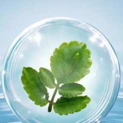 Clarins Eye Care<Total Eye Hydrate